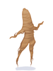 Brown Root