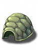 Turtle Shell